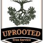 Photo of Uprooted Tree Service