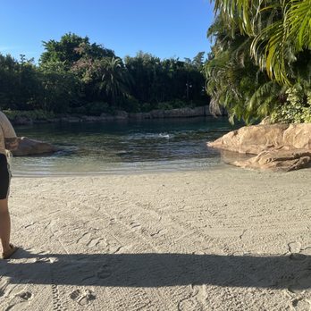 Discovery Cove - Amusement Parks Near Me - Orlando, Florida