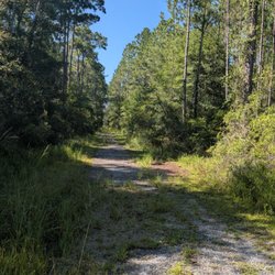 Cecil Field Recreational Trail - Horse Pond Road trail