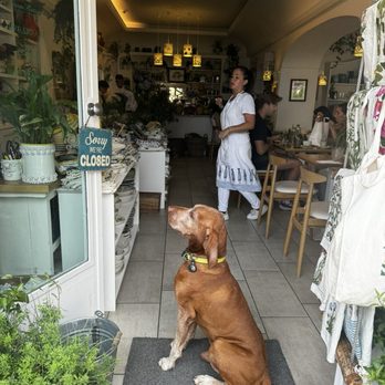 Casa e Bottega - Cute dog - Gluten-Free Near Me - Positano, SA Casa e Bottega - Cute dog - Gluten-Free Near Me - Positano, SA