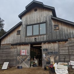 Old Mill Alpacas - Main barn at Old Mill Alpacas