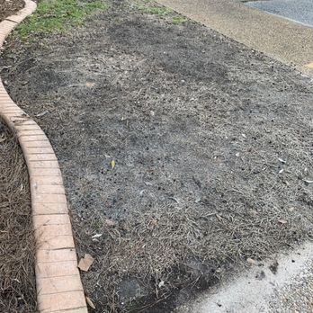 Weed Man - Dead grass - Lawn Services Near Me - Opelika,, Alabama