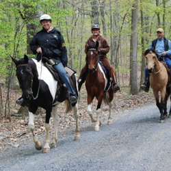 Bailey's Walking after Midnight Farm - These are Tennessee Walking Horses and Spotted Saddle horses so try out the Glide Ride (go Gaited) that you've heard so much about!