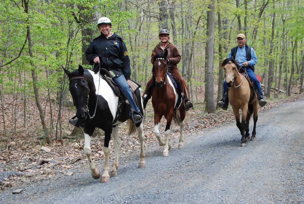 Bailey's Walking after Midnight Farm Logo