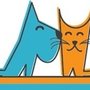 Fluids Felines And More