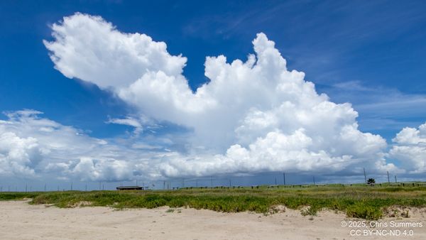 Galveston Island State Park by null