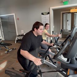 Bear Performance and Training