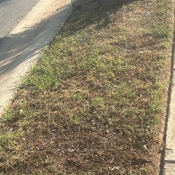 TruGreen Lawn Care - Grass burn up from Tru Green first treatment.. - Lawn Services Near Me - Indian Trail, North Carolina TruGreen Lawn Care - Grass burn up from Tru Green first treatment.. - Lawn Services Near Me - Indian Trail, North Carolina