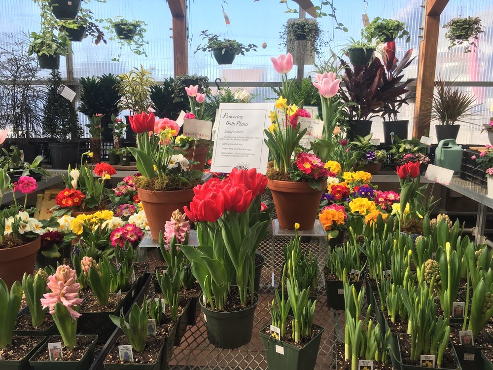 SKILLIN’S GREENHOUSES 14 Photos & 10 Reviews 89 Foreside Rd