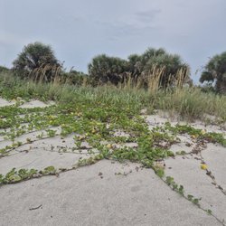 Caspersen Beach Park