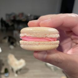 Cleopatra Patisserie - Rose lychee macaron