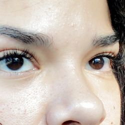 Real Lash - EYELASHES - MINK regular curl