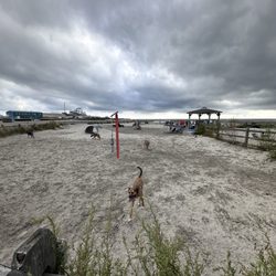 Wildwood Dog Park & Beach - Big dog section of Wildwood Dog Park