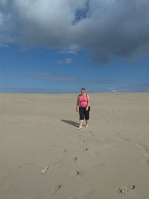 Råbjerg Mile by null