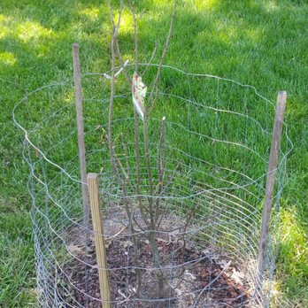 Green Acres Nursery & Garden - Nurseries & Gardening Near Me - Colmar, Pennsylvania