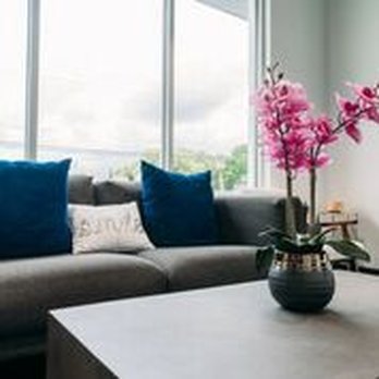 KLT Dentistry - General Dentistry Near Me - San Antonio, Texas