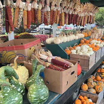 Windy Acre Farms - Fruits & Veggies Near Me - Calverton, New York Windy Acre Farms - Fruits & Veggies Near Me - Calverton, New York