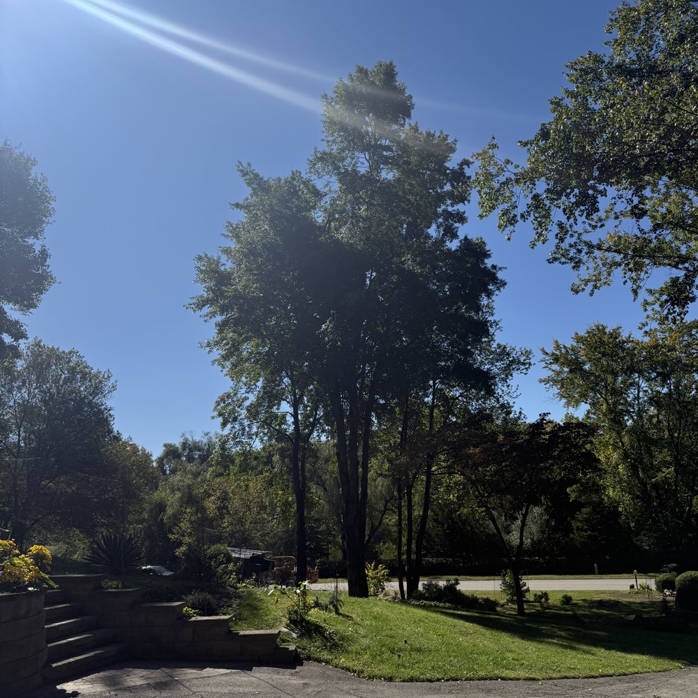 Natura Landscaping - Tree Services Near Me - Peekskill, New York Natura Landscaping - Tree Services Near Me - Peekskill, New York
