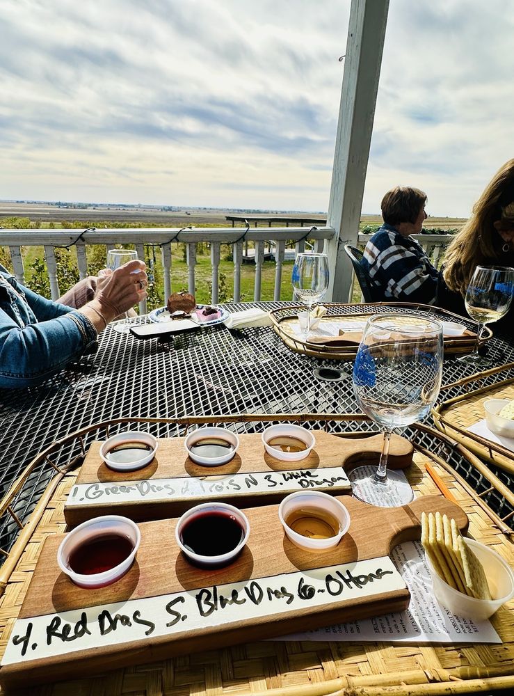 Mackinaw Valley Vineyard - vineyard in Mackinaw, IL