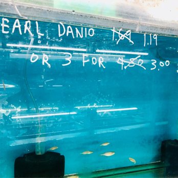 Houston Aquatics - Pet Stores Near Me - Houston, Texas Houston Aquatics - Pet Stores Near Me - Houston, Texas