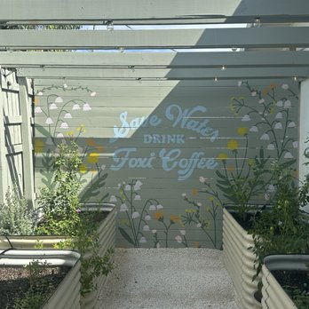 Foxi Coffee - Outside plant area - Coffee & Tea Near Me - Bradenton, Florida