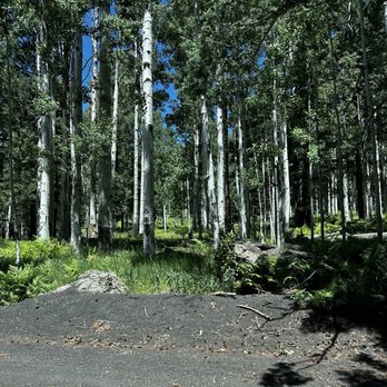 Flagstaff RV Park - RV Parks Near Me - Flagstaff, Arizona