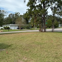 Cox & Family Lawn Care