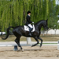 Barbi Breen-Gurley Sea Horse Ranch