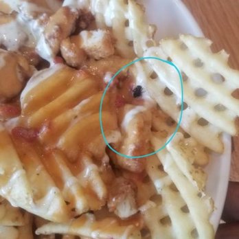 Chick-fil-A - Dead fly in my loaded fries. - Fast Food Near Me - Stockbridge, Georgia