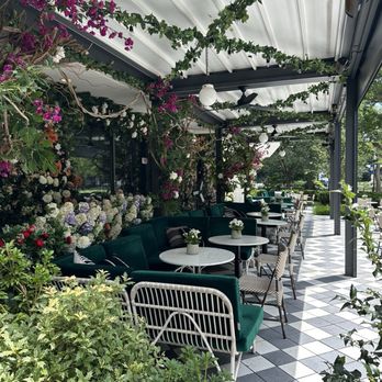The Pembroke - Nice ambiance but disappointingly fake plants - New American Near Me - Washington, DC, District of Columbia The Pembroke - Nice ambiance but disappointingly fake plants - New American Near Me - Washington, DC, District of Columbia