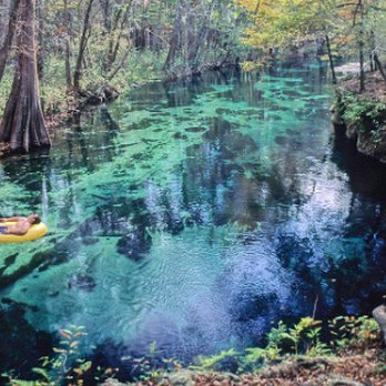 Ginnie Spring - Perfect calm beautiful florida morning - Rafting/Kayaking Near Me - High Springs, Florida Ginnie Spring - Perfect calm beautiful florida morning - Rafting/Kayaking Near Me - High Springs, Florida