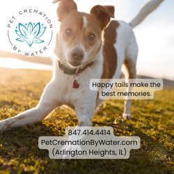 Pet Cremation By Water - Happy tails make the best memories.