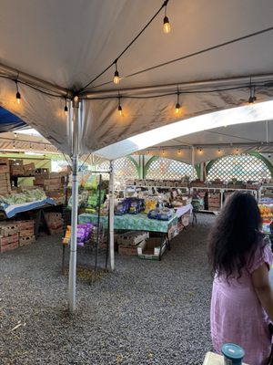 Farmers Market Maui by null