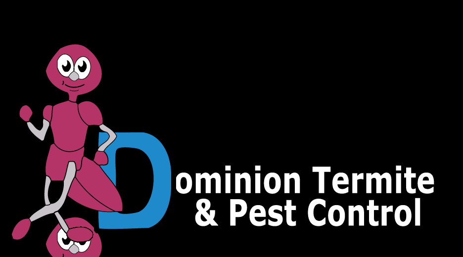 DOMINION TERMITE AND PEST CONTROL 1433 Gulf To Bay Blvd, Clearwater