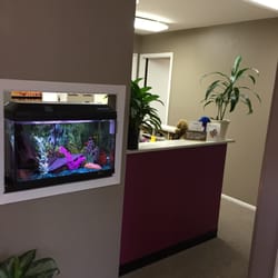 Mitchell Esral, DMD - Esral Dental - View from reception area