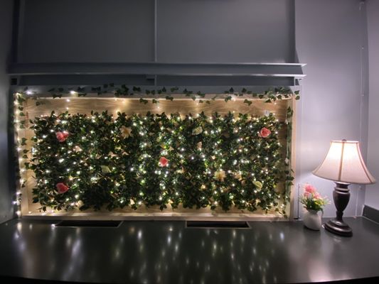 SPRING SPA - Updated January 2025 - 11 Photos - 1155 Piney Forest Rd