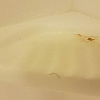 Hampton Inn Limerick-Philadelphia Area - Some,kind of funk in the shower - Hotels Near Me - Limerick, Pennsylvania Hampton Inn Limerick-Philadelphia Area - Some,kind of funk in the shower - Hotels Near Me - Limerick, Pennsylvania