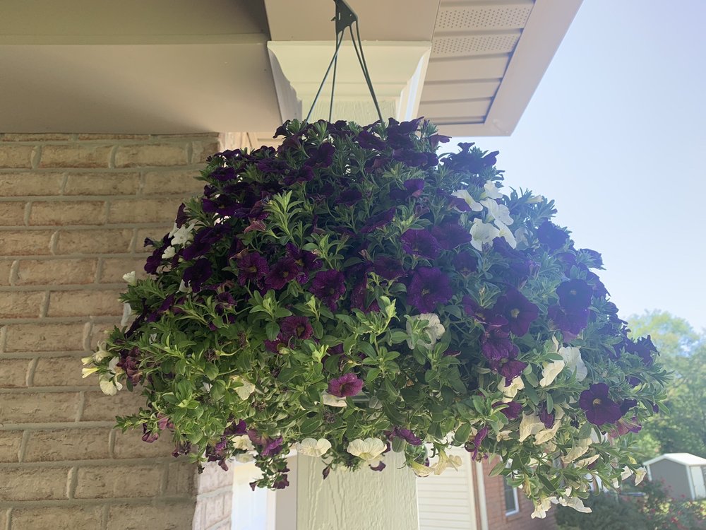 MILLER’S FLORIST Updated April 2024 19 Photos 211 E Old Hickory