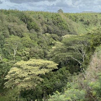 Wailua Falls - Wailua water falls valley - Parks Near Me - Lihue, Hawaii Wailua Falls - Wailua water falls valley - Parks Near Me - Lihue, Hawaii