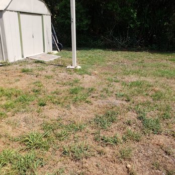 TruGreen Lawn Care - Tree Services Near Me - Oldsmar, Florida TruGreen Lawn Care - Tree Services Near Me - Oldsmar, Florida