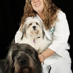 The Veterinary Hospital