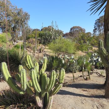 Desert Garden - Morning sun on the cacti - Parks Near Me - San Diego, California