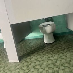 anxiety-inducing bathroom stalls or for those who enjoy exposure (What happened here? Budget shortfall?)