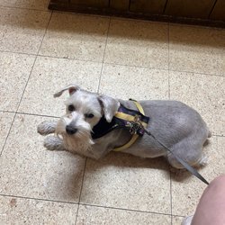 College Park Animal Clinic