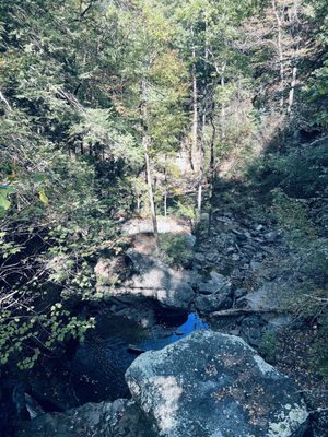 Cloudland Canyon State Park by null