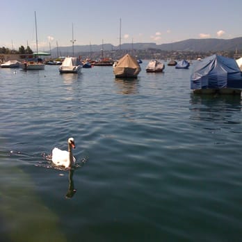Zürichsee - Lakes Near Me - Zürich, ZH Zürichsee - Lakes Near Me - Zürich, ZH