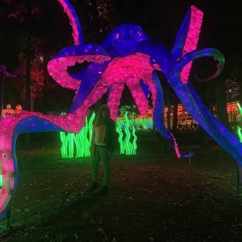 Chinese Lantern Festival - Festivals Near Me - Cary, North Carolina
