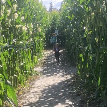 Bob's Corn & Pumpkin Farm - Learning direction and mapping! Homeschool at its finest!!! - Pumpkin Patches Near Me - Snohomish, Washington