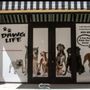 Photo of Dawg Life Doggy Daycare & Boarding- Dallas
