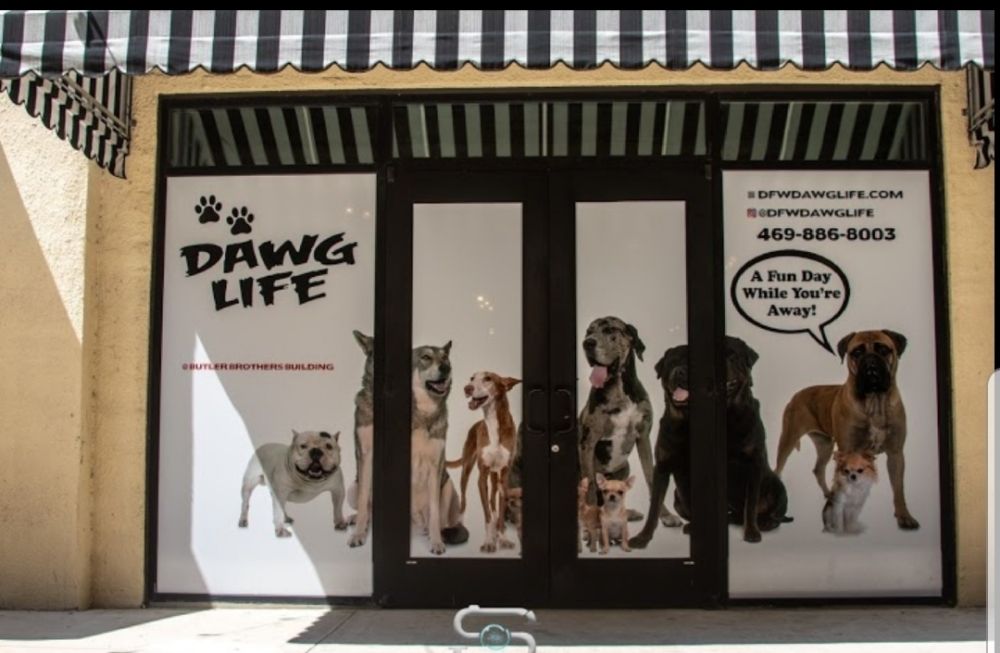 Dawg Life Doggy Daycare & Boarding- Dallas - pet boarding facility in Dallas, TX